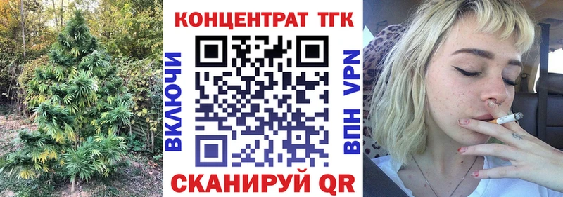 mega   где найти   Верхняя Пышма  ТГК концентрат 