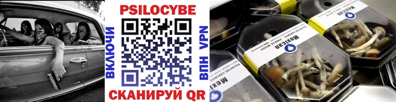 Галлюциногенные грибы Cubensis  Верхняя Пышма 